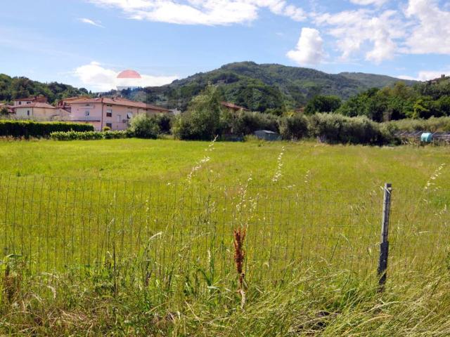Terreno in vendita a Pescia PT
