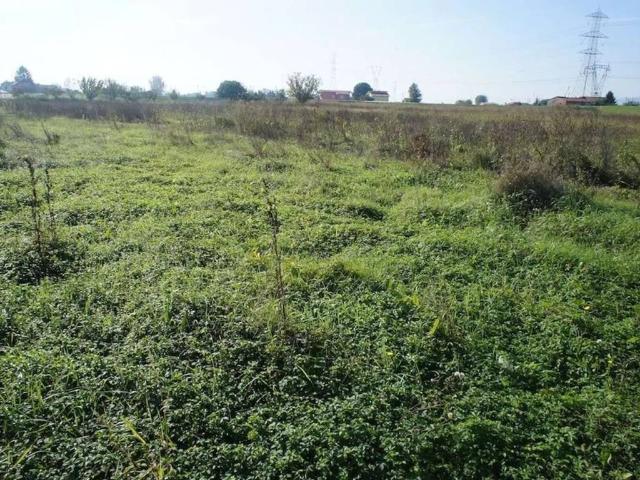 Terreno in vendita a Pescia PT