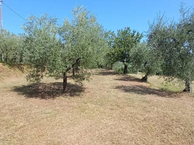 Terreno in vendita a Pescia PT