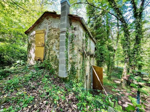 Terreno in vendita a Pescia PT