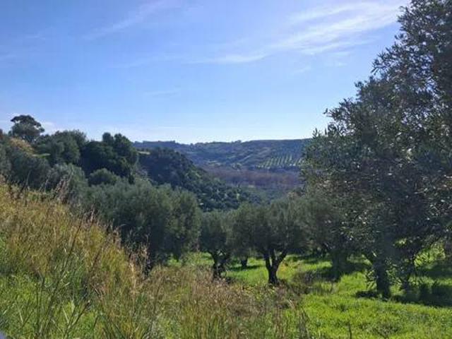Terreno in vendita a Petrizzi CZ