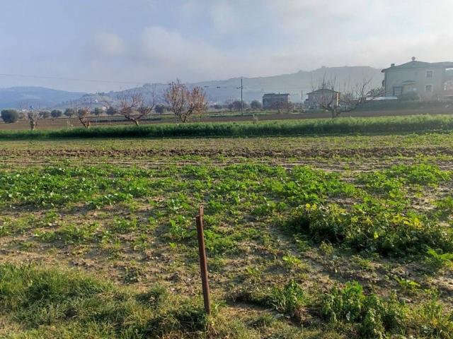 Terreno in vendita a Pineto TE