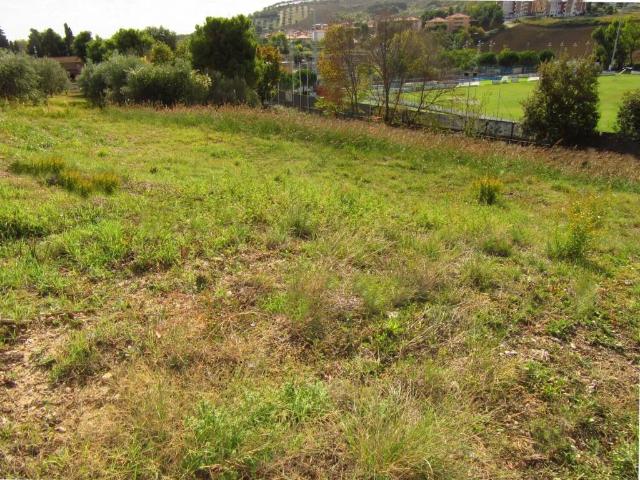 Terreno in vendita a Pineto TE