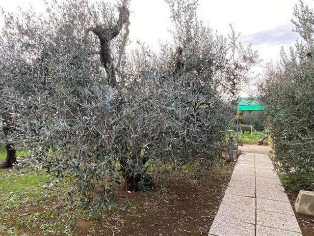 Terreno in vendita a Piombino LI