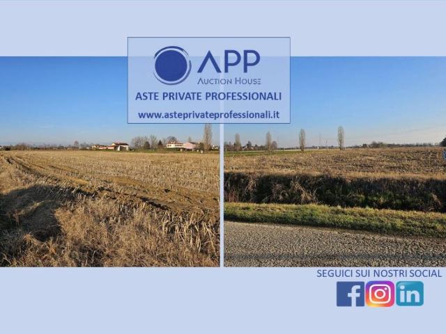 Terreno in vendita a Piazzola sul Brenta PD