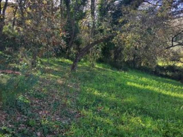 Terreno in vendita a Piazza Armerina