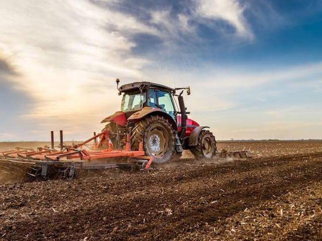Terreno in vendita a Piacenza d'Adige PD