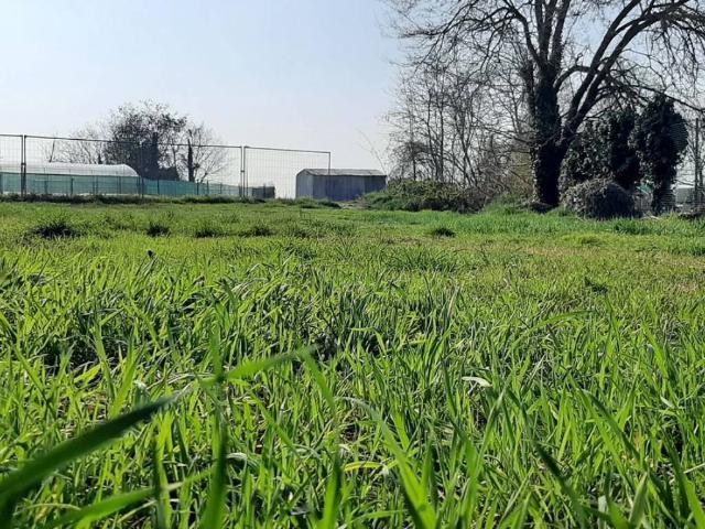 Terreno in vendita a Piacenza PC