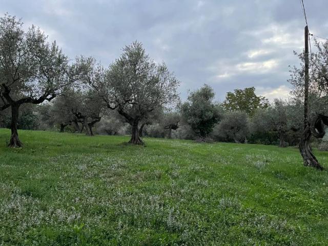 Terreno in vendita a Pianella PE