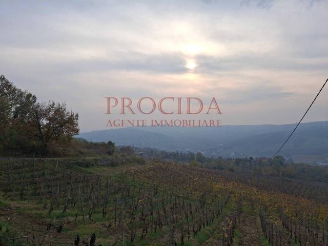 Terreno in vendita a Pietra de' Giorgi PV