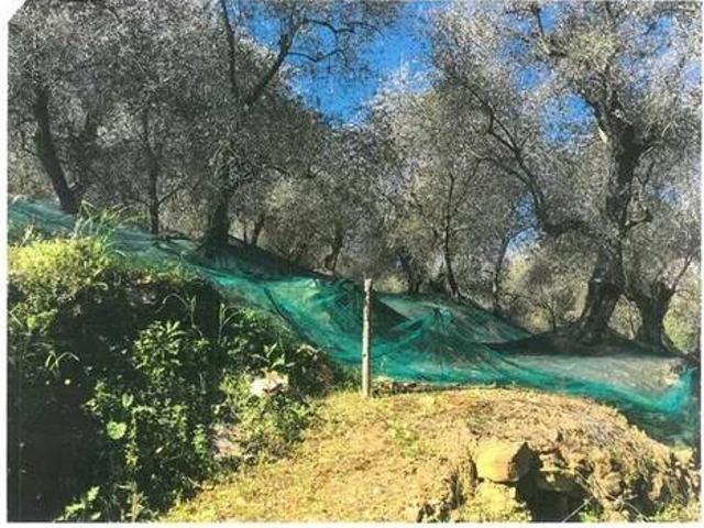 Terreno in vendita a Pietrabruna IM