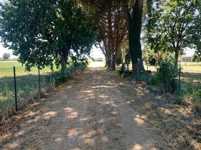 Terreno in vendita a Pieve a Nievole PT