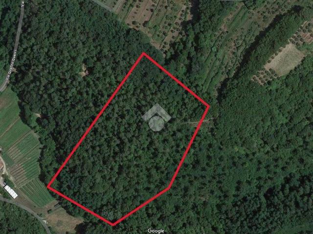 Terreno in vendita a Pieve a Nievole PT