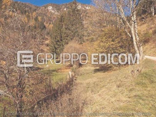Terreno in vendita a Pieve di Cadore Rif. 4554966