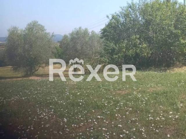 Terreno in vendita a Pienza SI