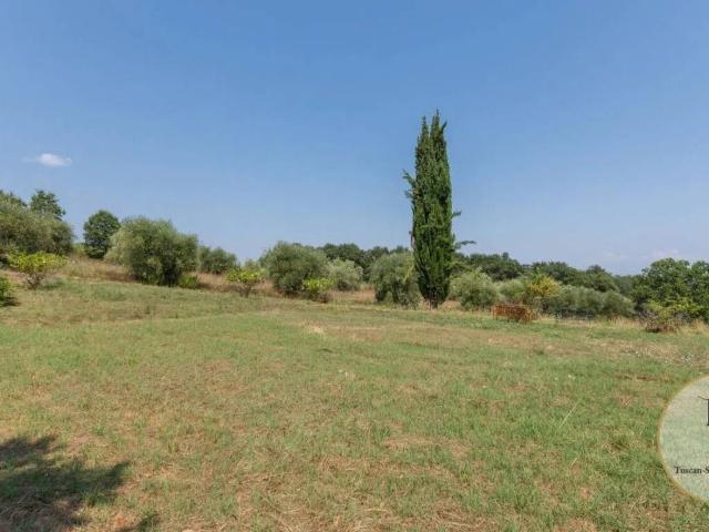 Terreno in vendita a Pienza SI