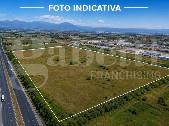 Terreno in vendita a Pignataro Maggiore CE