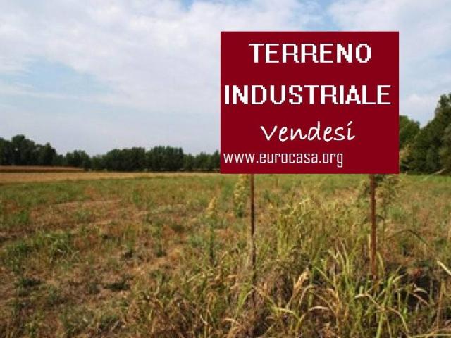Terreno in vendita a Pignataro Maggiore CE