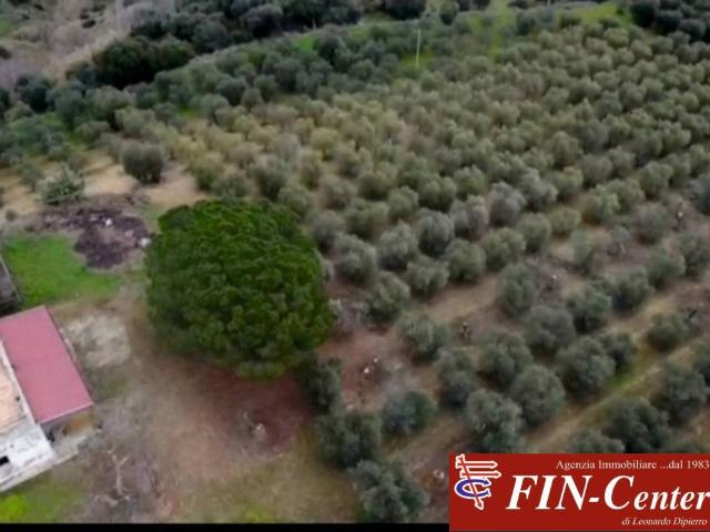 Terreno in vendita a Pisticci MT