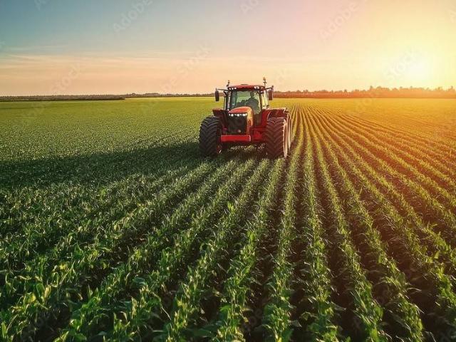 Terreno in vendita a Pisticci MT