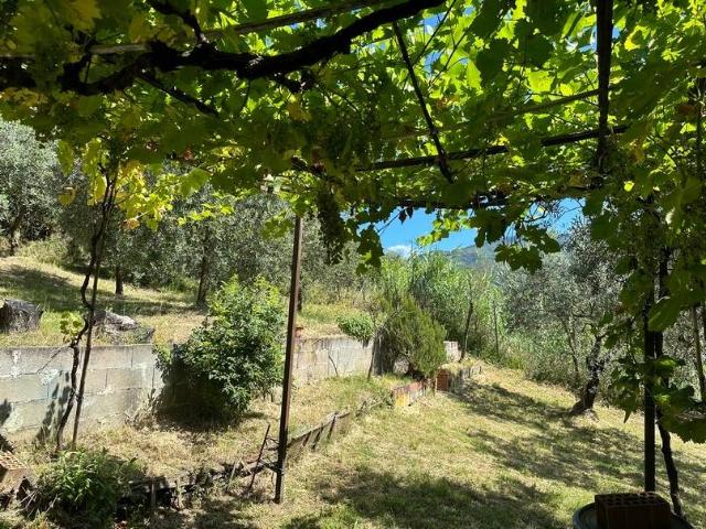 Terreno in vendita a Pistoia PT
