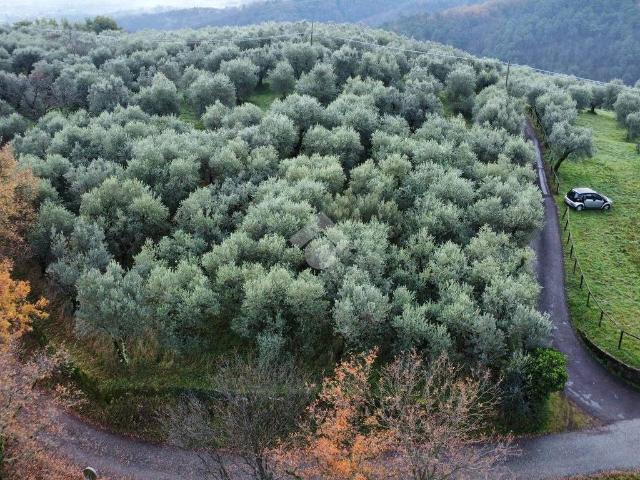Terreno in vendita a Pistoia PT