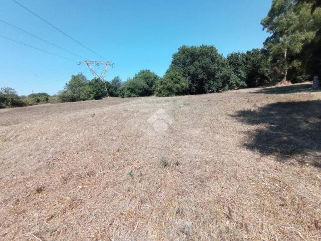 Terreno in vendita a Pomezia RM