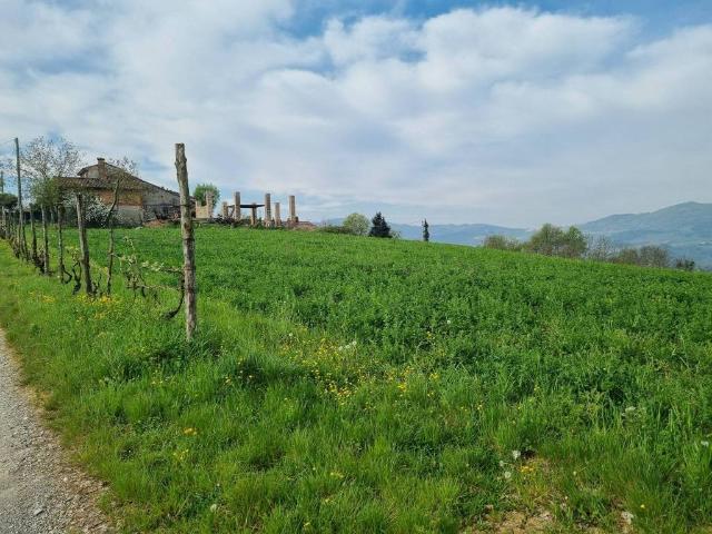 Terreno in vendita a Ponte dell'Olio PC
