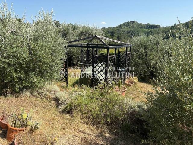 Terreno in vendita a Pontedera PI