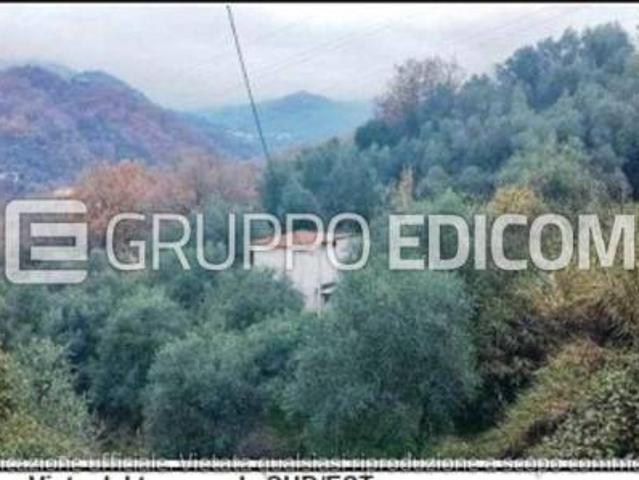 Terreno in vendita a Podenzana Rif. 3559670