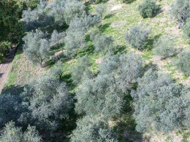 Terreno in vendita a Poggio Nativo RI