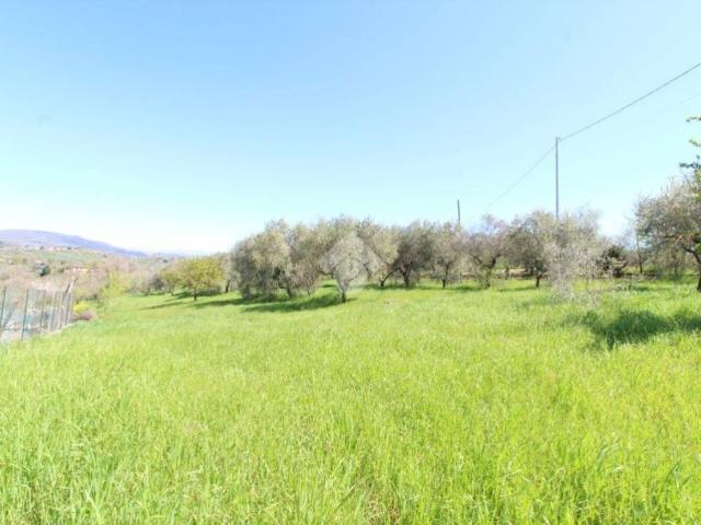 Terreno in vendita a Poggio Nativo RI