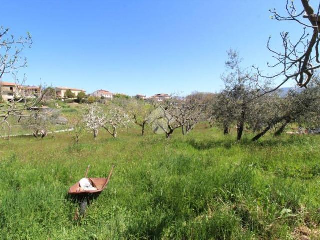 Terreno in vendita a Poggio Nativo RI