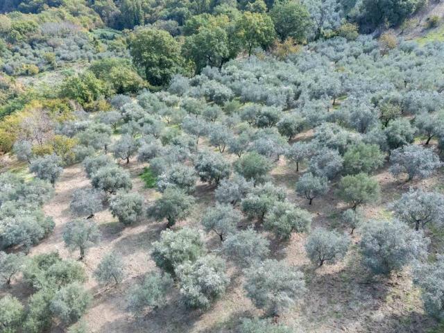 Terreno in vendita a Poggio Nativo RI