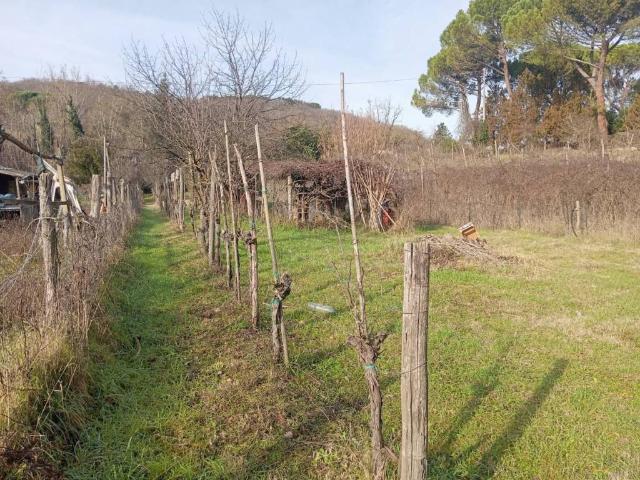 Terreno in vendita a Poggibonsi SI