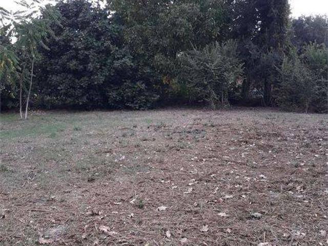 Terreno in vendita a Polverigi AN