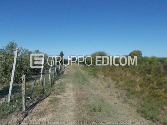 Terreno in vendita a Policoro Rif. 4555564
