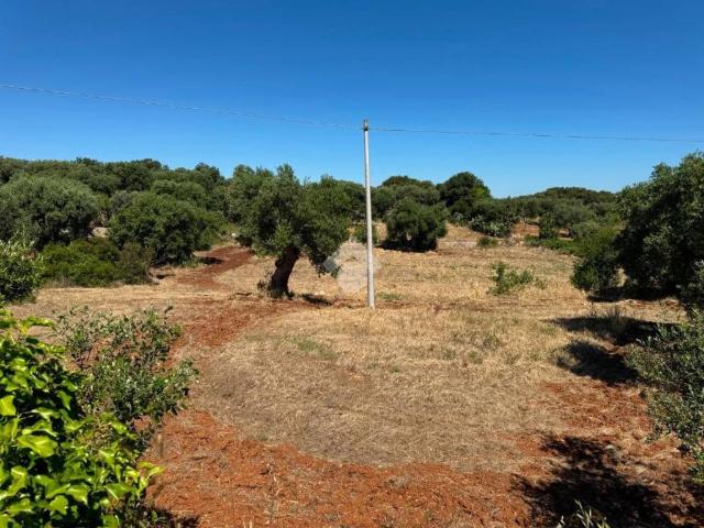 Terreno in vendita a Polignano a Mare BA
