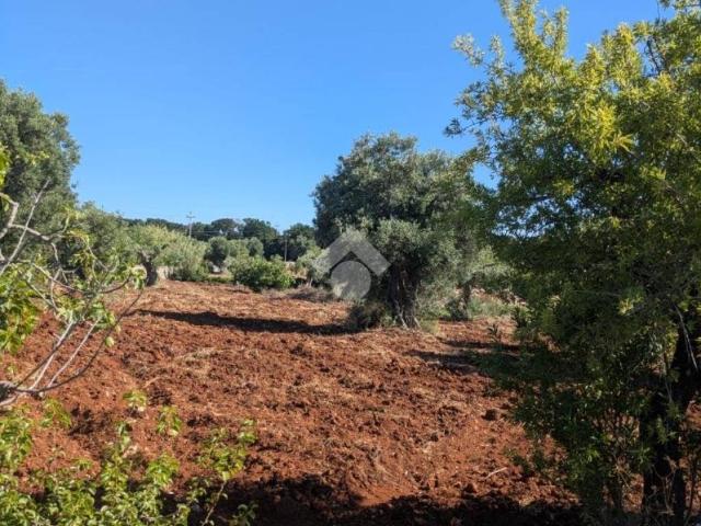Terreno in vendita a Polignano a Mare BA