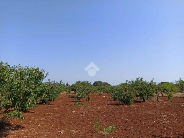 Terreno in vendita a Polignano a Mare BA