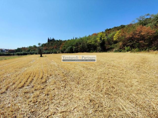 Terreno in vendita a Polpenazze del Garda BS