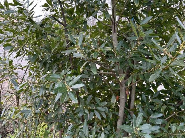 Terreno in vendita a Portogruaro VE