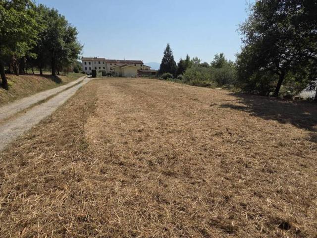 Terreno in vendita a Porcari LU