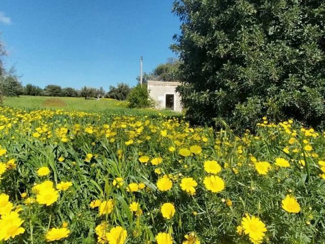 Terreno in vendita a Pozzallo RG