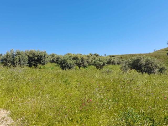 Terreno in vendita a Placanica RC