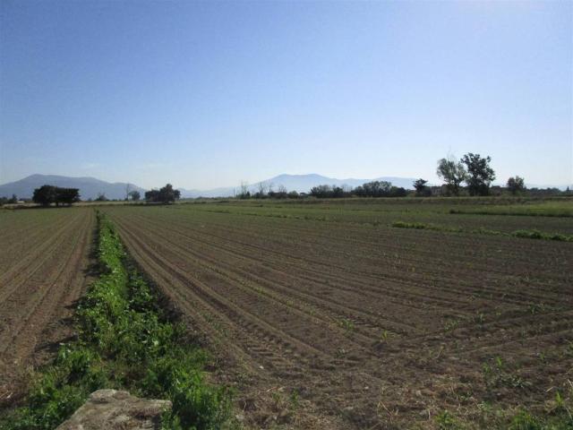 Terreno in vendita a Prato PO