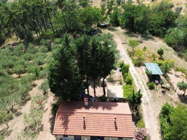 Terreno in vendita a Prato PO