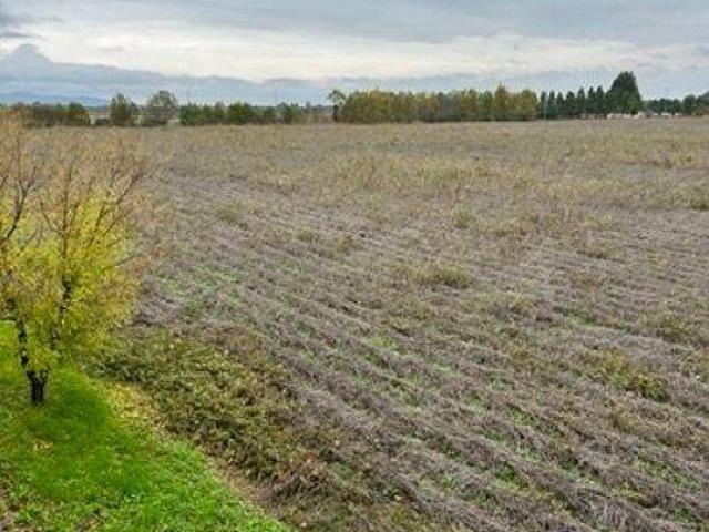 Terreno in vendita a Pressana VR