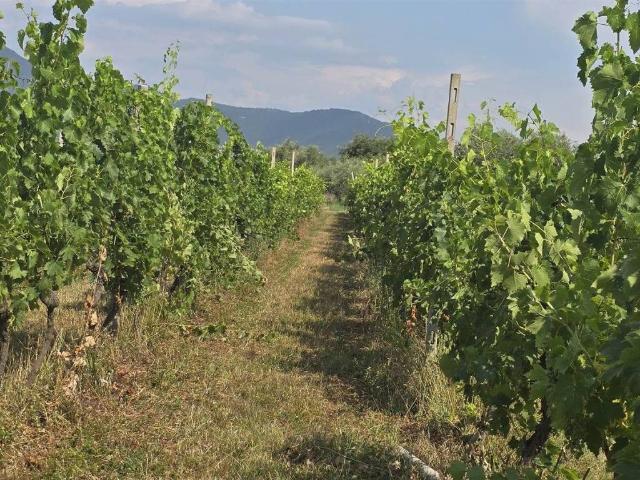 Terreno in vendita a Puegnago sul Garda BS