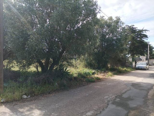 Terreno in vendita a Pulsano TA